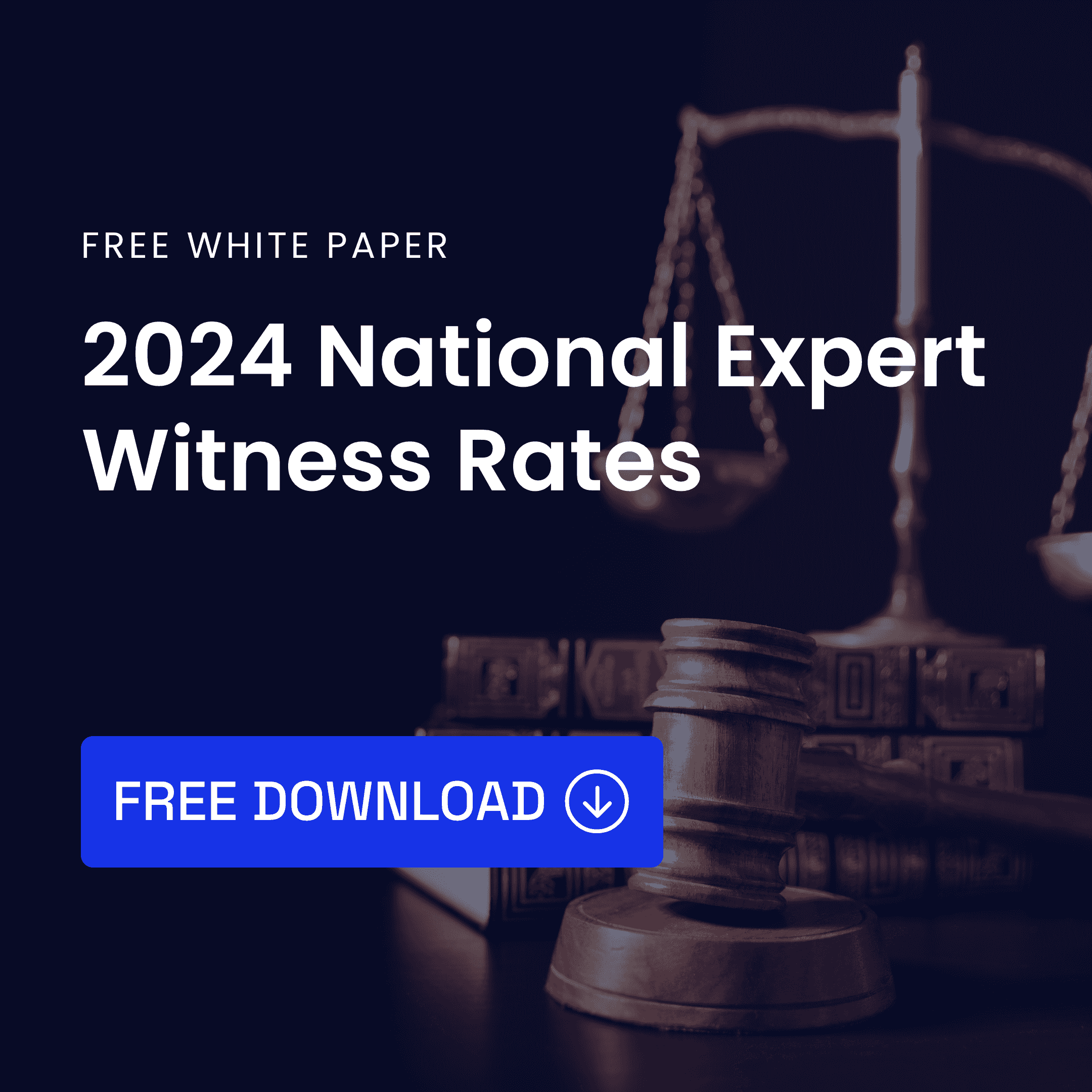 2024 National Expert Witness Rates