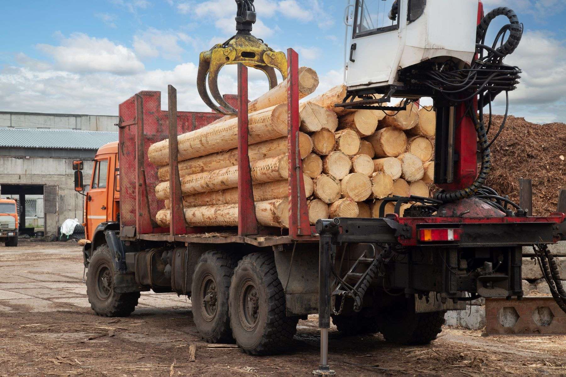 Wood logs being loaded on truck trailer