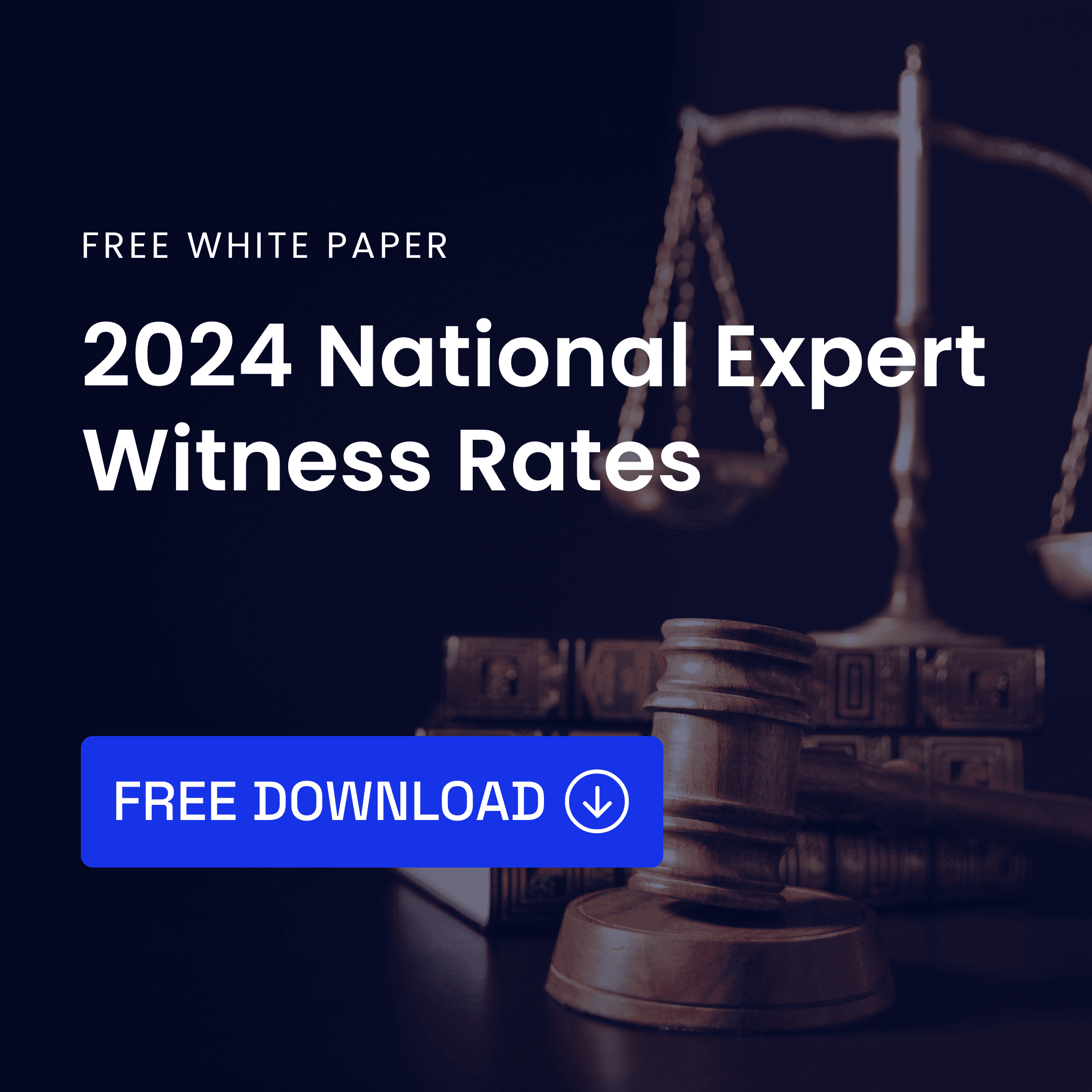 2024 National Expert Witness Rates