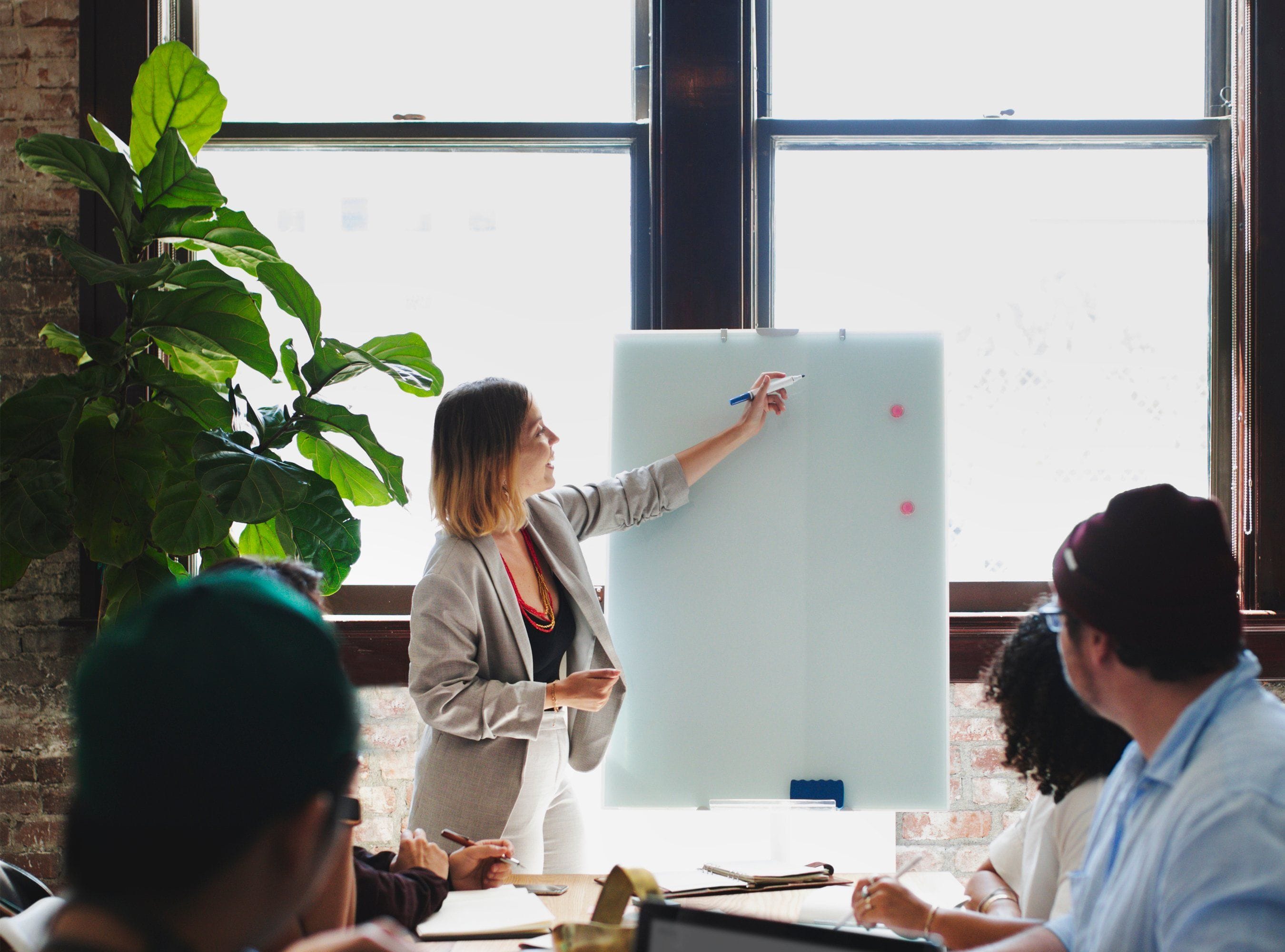 expert witness credibility