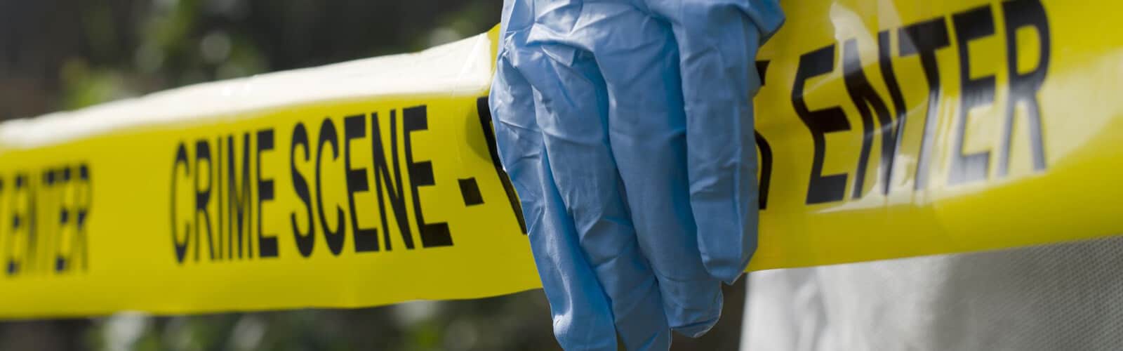 Working With Forensic Expert Witnesses: A Litigator’s Guide