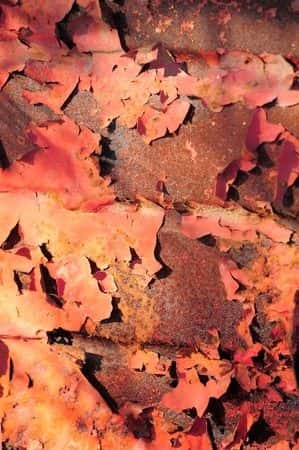 Pediatric Gastroenterologist Evaluates Lead Poisoning Caused by Lead Paint Exposure