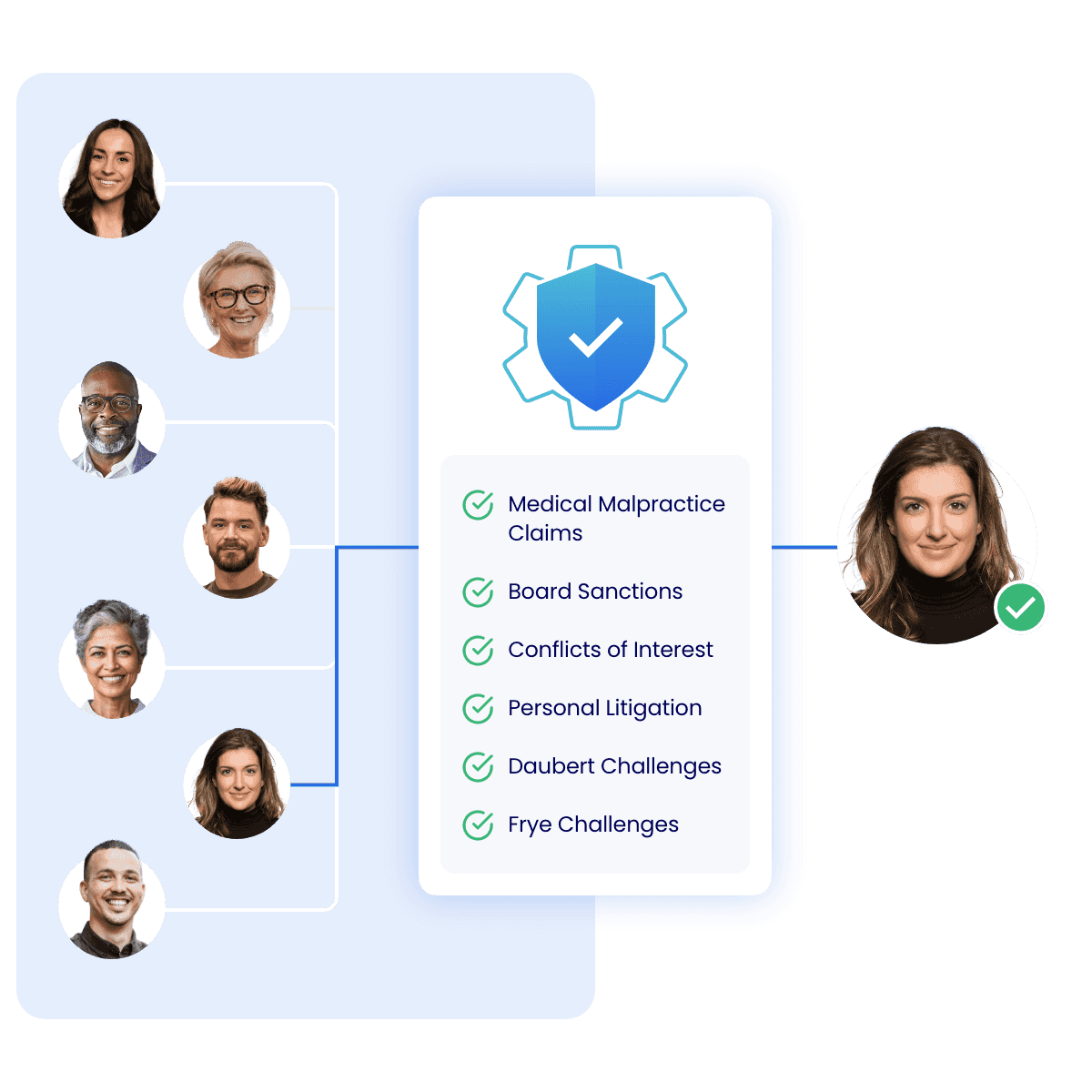 Fully vetted expert witnesses