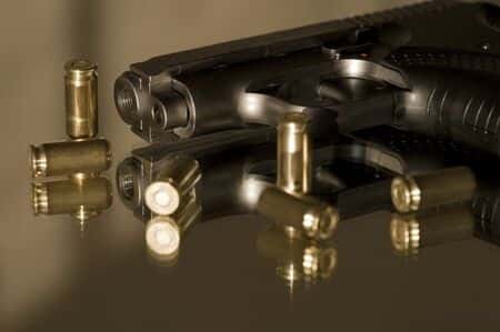 Law Enforcement Expert Opines on Mismanaged Domestic Violence Incident