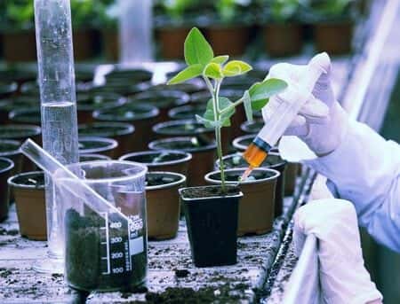 Soil Chemistry Expert Witness Comments on Source of PCB Contamination